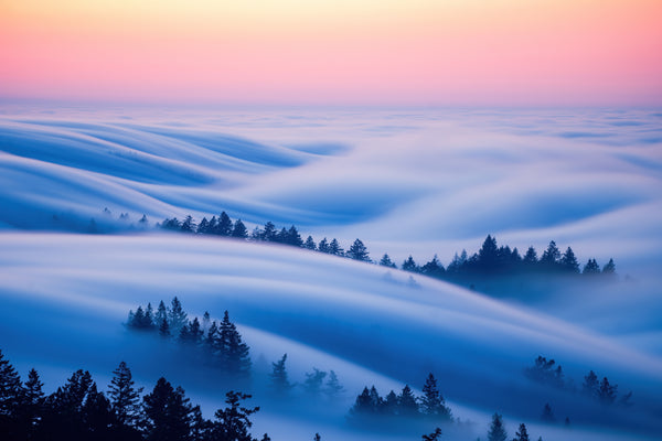 Cloud Candy