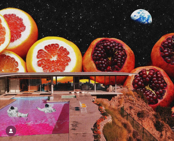 Planet Froot